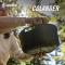 ComplEat XL Tableware Set